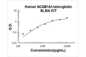 Human SCGB1A1/uteroglobin PicoKine ELISA Kit standard curve