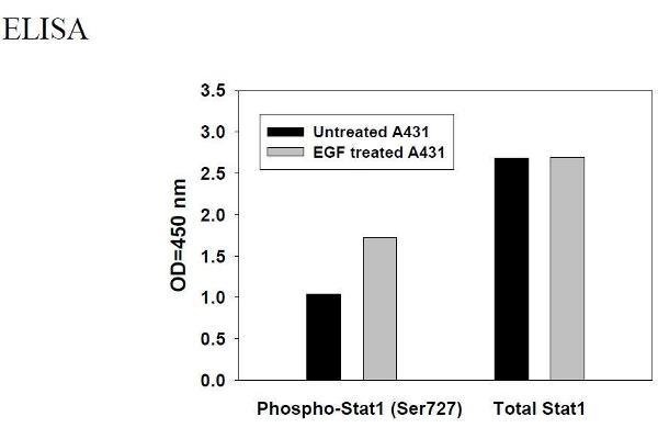 STAT1 ELISA 试剂盒
