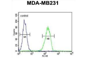 Flow Cytometry (FACS) image for anti-Cathepsin S (CTSS) antibody (ABIN3003177) (Cathepsin S 抗体)