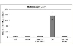 Image no. 3 for FluoroStain™ DNA Fluorescent Staining Dye (Green, 10,000X) (ABIN5662584)