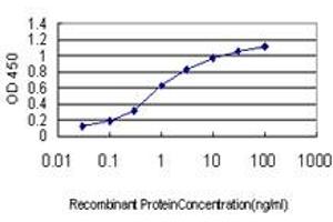 Detection limit for recombinant GST tagged C1orf164 is approximately 0. (RNF220 抗体  (AA 468-566))