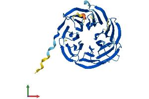 AlphaFold protein structure predicition of Human Recombinant GNB1L Protein, UniprotID Q9BYB4