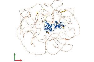 Protein Structure (PS) image for Insulin Receptor Substrate 1 (IRS1) (AA 1-1242) protein (His tag) (ABIN7554213)