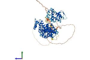 Protein Structure (PS) image for NCK Interacting Protein with SH3 Domain (NCKIPSD) (AA 1-722) protein (His tag) (ABIN7555564)