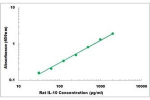 Representative Standard Curve (IL-10 ELISA 试剂盒)