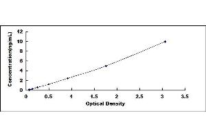 Typical standard curve (KDM6A ELISA 试剂盒)