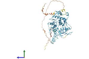 Protein Structure (PS) image for Zinc Finger Protein 689 (ZNF689) (AA 1-500) protein (His tag) (ABIN7545352)