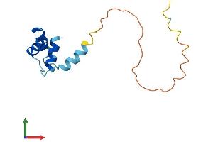 Protein Structure (PS) image for Ribosomal Protein, Large, P2 (RPLP2) (AA 1-115) protein (His tag) (ABIN7551440)
