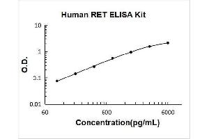 Ret Proto-Oncogene (RET) ELISA Kit