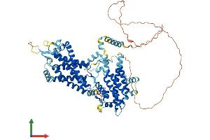 Protein Structure (PS) image for Transmembrane Protein 48 (TMEM48) (AA 1-674) protein (His tag) (ABIN7554722)