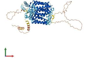 Protein Structure (PS) image for Solute Carrier Family 2 (Facilitated Glucose Transporter), Member 12 (SLC2A12) (AA 1-617) protein (His tag) (ABIN7548170)
