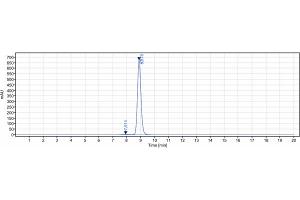 The purity of Anti- Human TSLP( Tezepelumab) is 98. (Recombinant TSLP (Tezepelumab Biosimilar) 抗体)