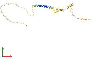 AlphaFold protein structure predicition of Human Recombinant NSG2 Protein, UniprotID Q9Y328