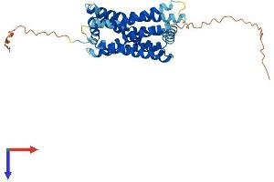 G Protein-Coupled Receptor 20 (GPR20) (AA 1-358) protein (His tag)