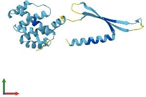 Protein Structure (PS) image for COMM Domain Containing 4 (COMMD4) (AA 1-199) protein (His tag) (ABIN7560495)