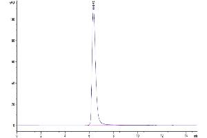 Size-exclusion chromatography-High Pressure Liquid Chromatography (SEC-HPLC) image for CD163 (CD163) (AA 42-1045) protein (His-Avi Tag) (ABIN7274084)