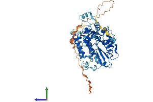 AlphaFold protein structure predicition of Human Recombinant CBLC Protein, UniprotID Q9ULV8 (CBLC Protein (AA 1-474) (His tag))