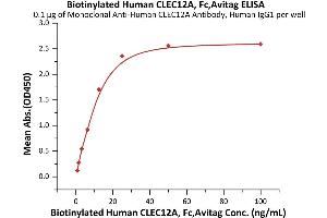 ELISA image for C-Type Lectin Domain Family 12, Member A (CLEC12A) (AA 65-265) (Active) protein (AVI tag,Fc Tag,Biotin) (ABIN6973030)