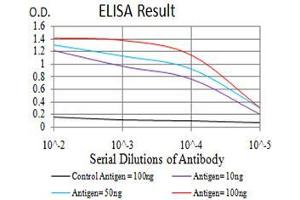 Black line: Control Antigen (100 ng), Purple line: Antigen(10 ng), Blue line: Antigen (50 ng), Red line: Antigen (100 ng), (Histone Cluster 2, H3c (HIST2H3C) (acLys27) 抗体)