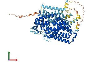 Protein Structure (PS) image for Solute Carrier Family 5 (Sodium/glucose Cotransporter), Member 1 (SLC5A1) (AA 1-664) protein (His tag) (ABIN7555391)