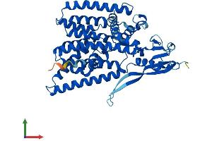 Protein Structure (PS) image for Asparagine-Linked Glycosylation 12, alpha-1,6-Mannosyltransferase Homolog (ALG12) (AA 1-488) protein (His tag) (ABIN7552082)