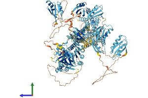 AlphaFold protein structure predicition of Mouse Recombinant Atp7b Protein, UniprotID Q64446