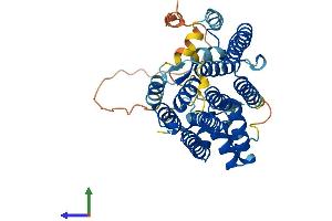 AlphaFold protein structure predicition of Human Recombinant PDSS2 Protein, UniprotID Q86YH6 (PDSS2 Protein (AA 1-399) (His tag))
