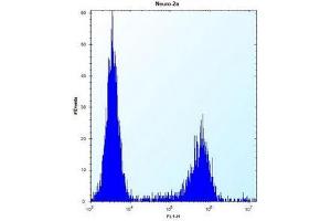 Flow cytometric analysis of Neuro-2a cells using MAN2A2 Antibody (Center) Cat. (MAN2A2 抗体  (Middle Region))