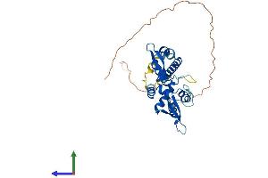 Protein Structure (PS) image for Melanoma Antigen Family A, 6 (MAGEA6) (AA 1-314) protein (His tag) (ABIN7549224)