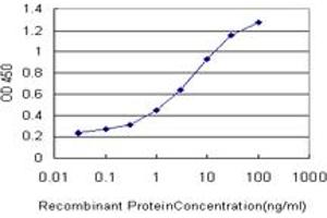 Detection limit for recombinant GST tagged ATG5 is approximately 0. (ATG5 抗体  (AA 176-275))