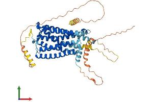 Protein Structure (PS) image for Cannabinoid Receptor 1 (CNR1) (AA 1-473) protein (His tag) (ABIN7563289)
