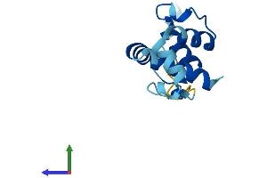 Protein Structure (PS) image for Cornifelin (CNFN) (AA 1-112) protein (His tag) (ABIN7546505)