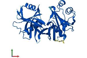 Protein Structure (PS) image for Phenazine Biosynthesis-Like Protein Domain Containing 1 (PBLD1) (AA 1-288) protein (His tag) (ABIN7561333)