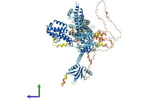 Protein Structure (PS) image for Ras Protein-Specific Guanine Nucleotide-Releasing Factor 2 (RASGRF2) (AA 1-1189) protein (His tag) (ABIN7563527)