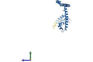 Protein Structure (PS) image for PSMC3 Interacting Protein (PSMC3IP) (AA 1-217) protein (His tag) (ABIN7562258)