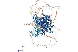 Protein Structure (PS) image for Son of Sevenless Homolog 2 (SOS2) (AA 1-1333) protein (His tag) (ABIN7563582)