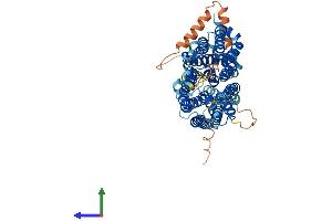 Protein Structure (PS) image for Solute Carrier Family 43, Member 1 (SLC43A1) (AA 1-559) protein (His tag) (ABIN7554377)