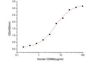 Activity Assay (AcA) image for Carcinoembryonic Antigen-Related Cell Adhesion Molecule 8 (CEACAM8) (AA 35-320) (Active) protein (His tag) (ABIN7607423)