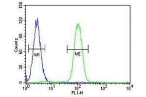 Flow Cytometry (FACS) image for anti-Sp1 Transcription Factor (SP1) (AA 677-707) antibody (ABIN3032701)