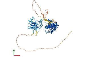 Protein Structure (PS) image for Dual Specificity Phosphatase 7 (DUSP7) (AA 1-422) protein (His tag) (ABIN7560129)