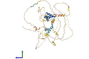 Protein Structure (PS) image for Aristaless Related Homeobox (ARX) (AA 1-564) protein (His tag) (ABIN7562263)