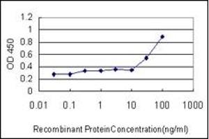 ELISA image for anti-Runt-Related Transcription Factor 2 (RUNX2) (AA 251-351) antibody (ABIN614560)
