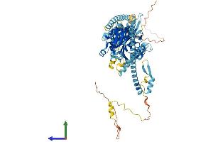 Protein Structure (PS) image for Kinesin Family Member 3A (KIF3A) (AA 1-699) protein (His tag) (ABIN7548784)