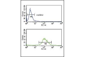 TAT Antibody (Center) (ABIN653486 and ABIN2842905) flow cytometry analysis of K562 cells (bottom histogram) compared to a negative control cell (top histogram). (Tat (AA 279-306) 抗体)