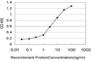 Detection limit for recombinant GST tagged IL8 is approximately 0. (IL-8 抗体  (AA 21-99))