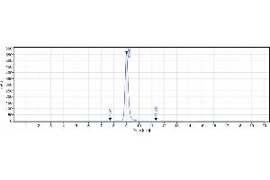 The purity of Anti-IL-2Ra / CD25 Reference Antibody (daclizumab) is 99. (Recombinant IL2RA (Daclizumab Biosimilar) 抗体)