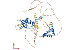 Protein Structure (PS) image for HMG Box-Containing Protein 1 (HBP1) (AA 1-516) protein (His tag) (ABIN7559719)