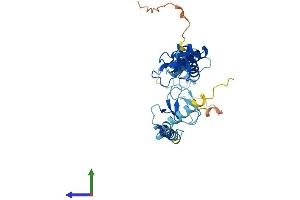 Protein Structure (PS) image for Ring Finger Protein 144B (RNF144B) (AA 1-303) protein (His tag) (ABIN7551247)