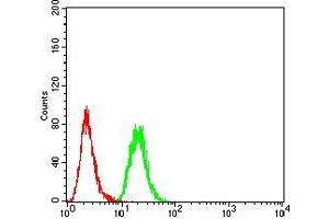 Flow cytometric analysis of MCF-7 cells using KDM5B mouse mAb (green) and negative control (red). (KDM5B 抗体  (AA 231-319))