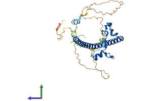 Protein Structure (PS) image for Hepatic Leukemia Factor (HLF) (AA 1-295) protein (His tag) (ABIN7548318)
